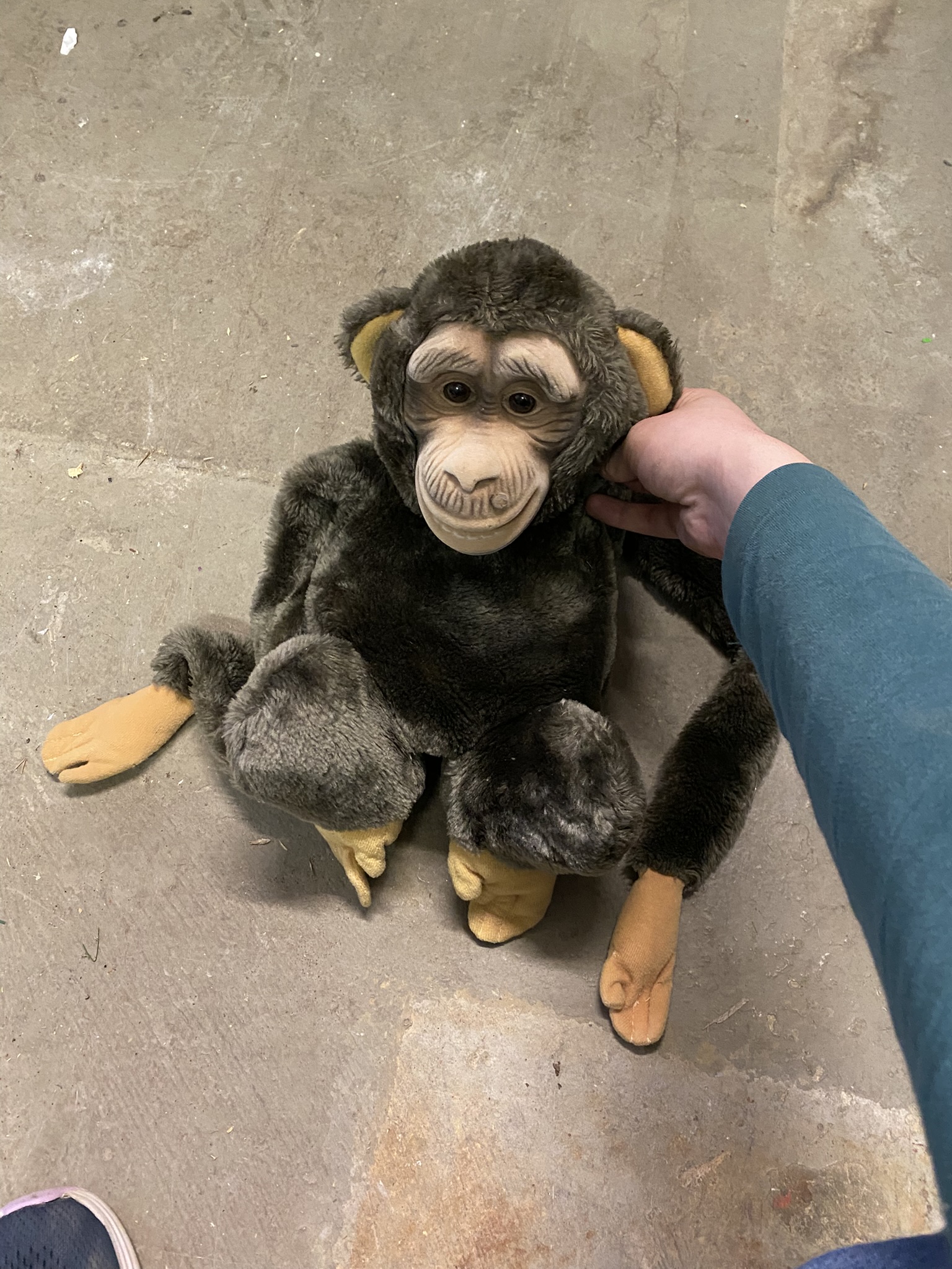 A24-011 Handpuppe Affe