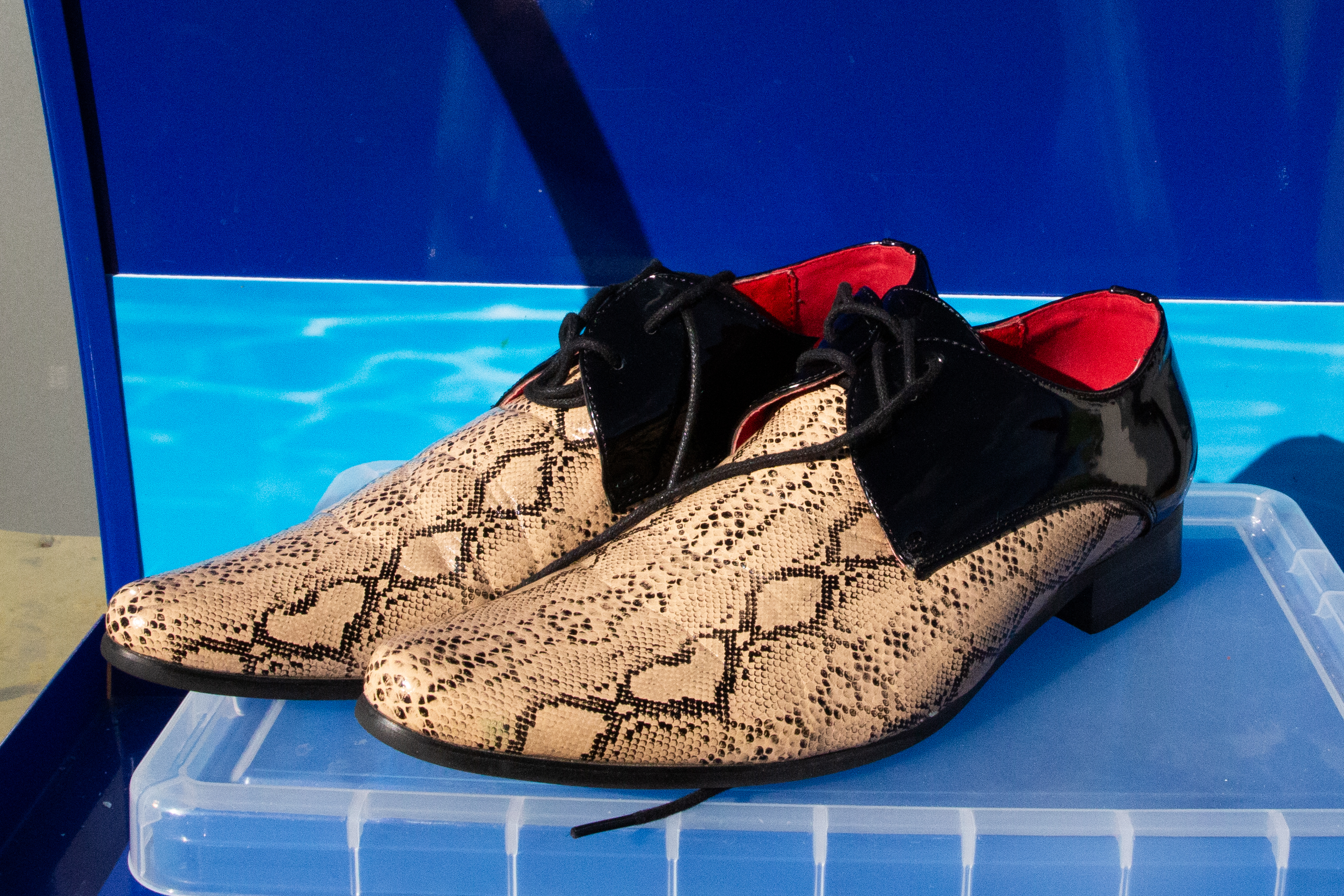 HSC6 Krokodilleder-Schuhe