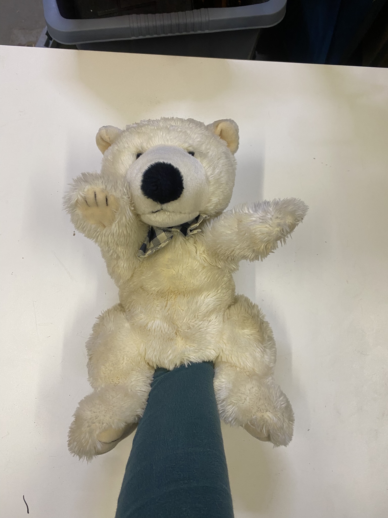 A24-003 Handpuppe Bär