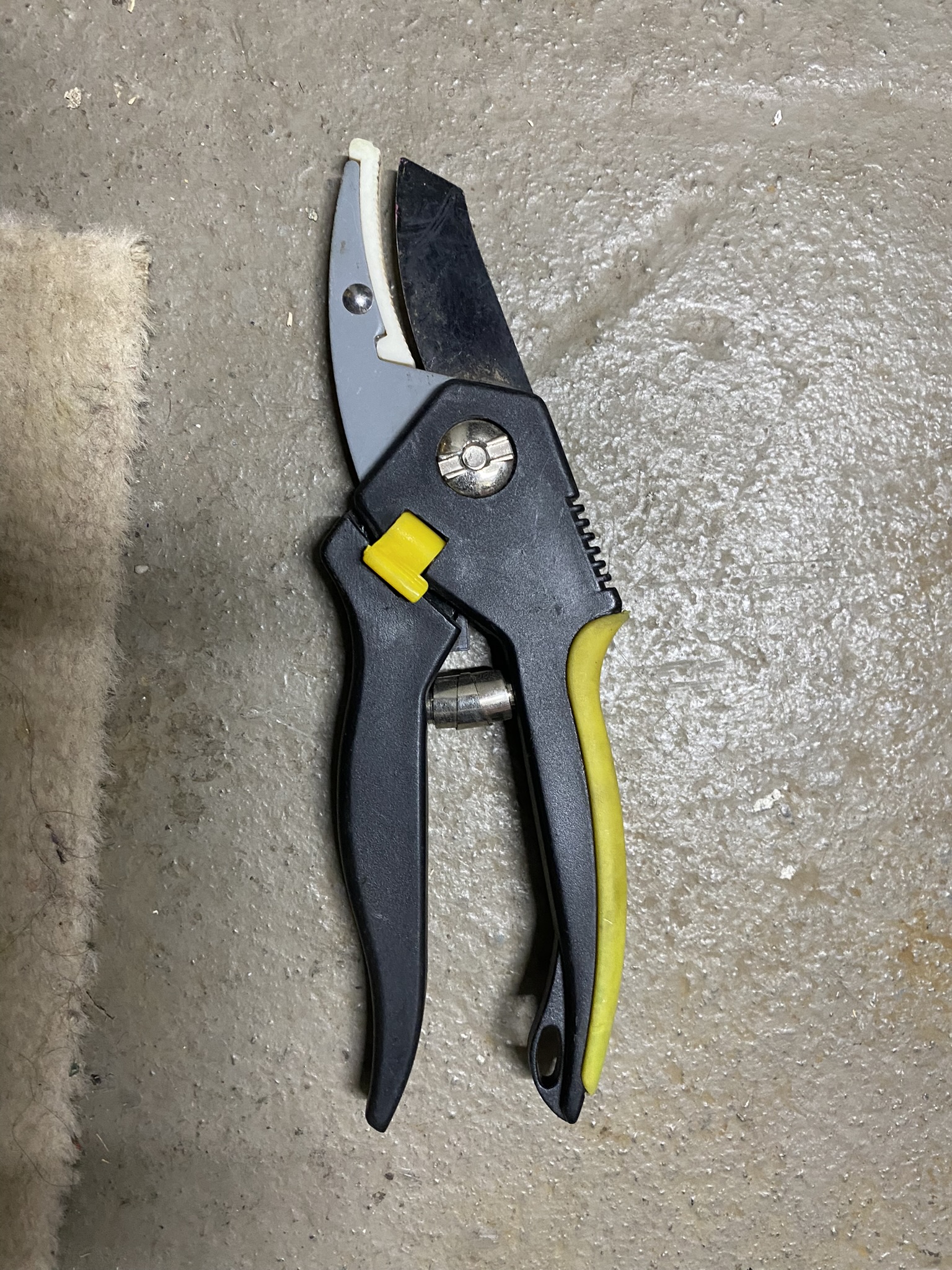 M01-068 Gartenschere