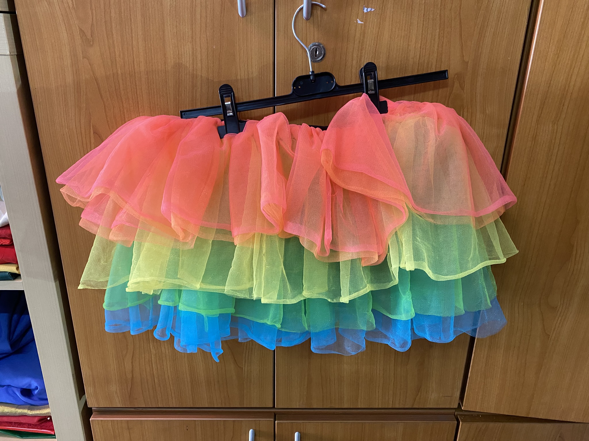 DR4 Minirock Regenbogen