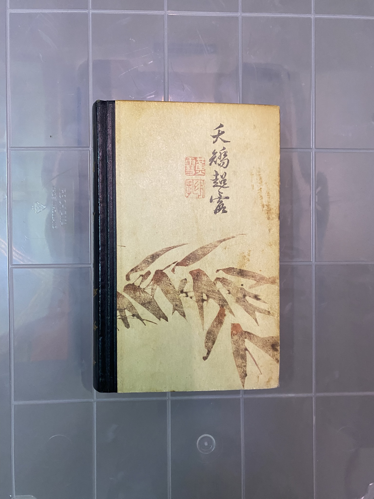 A20-013 Buch "Land der Hoffnung, Land der Trauer"