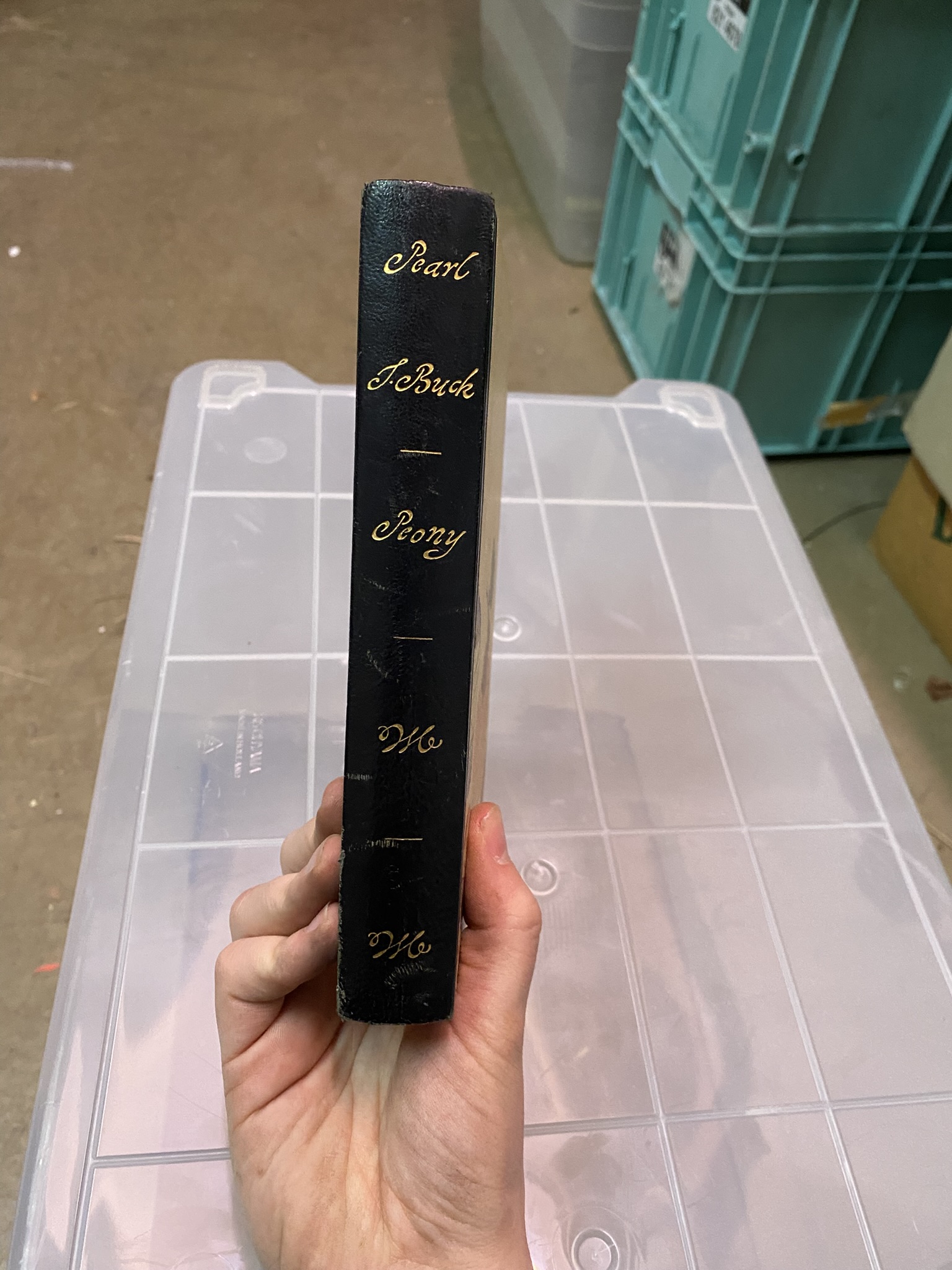 A20-011 Buch "Peony"