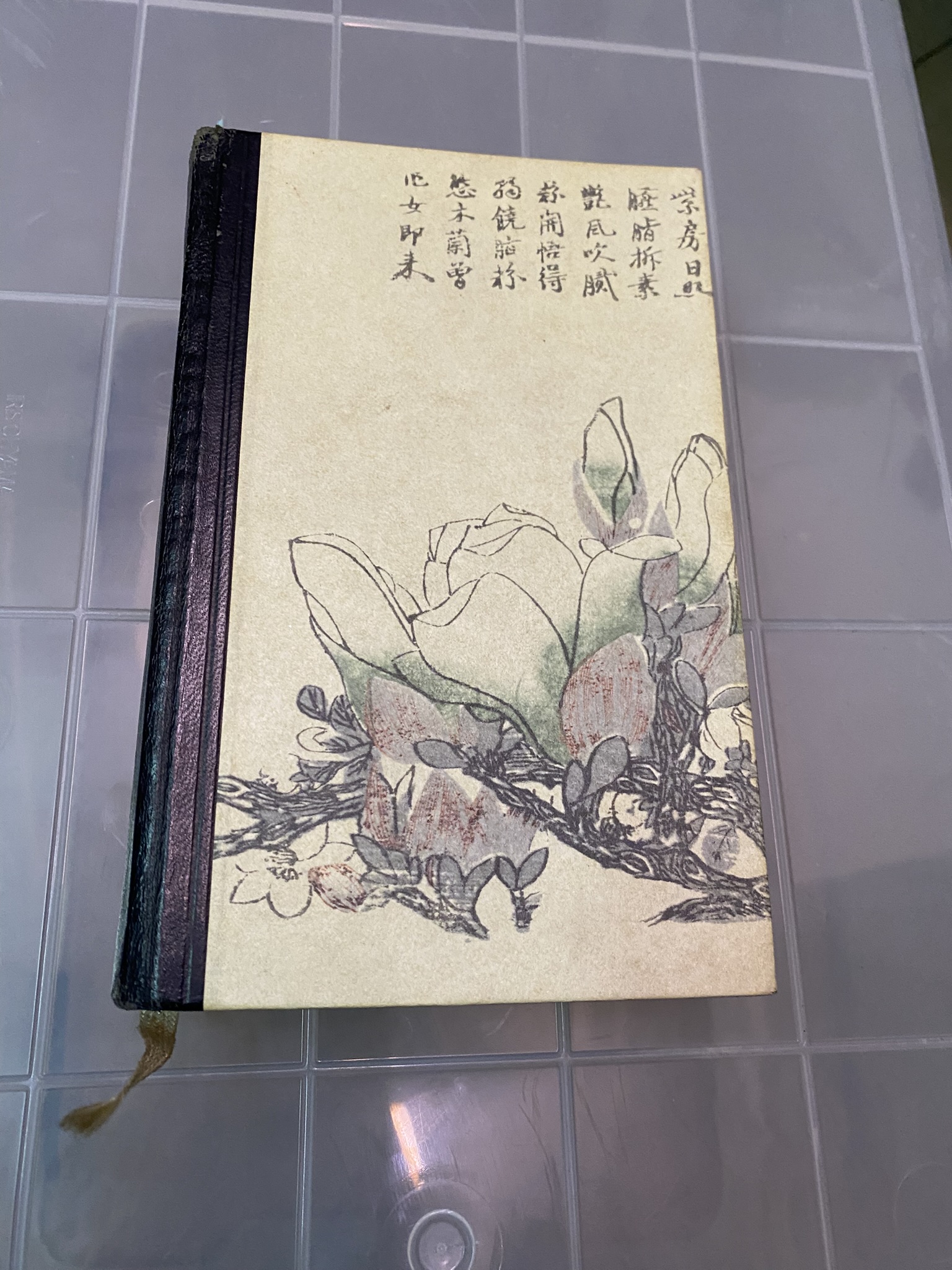 A20-014 Buch "Drachensaat"