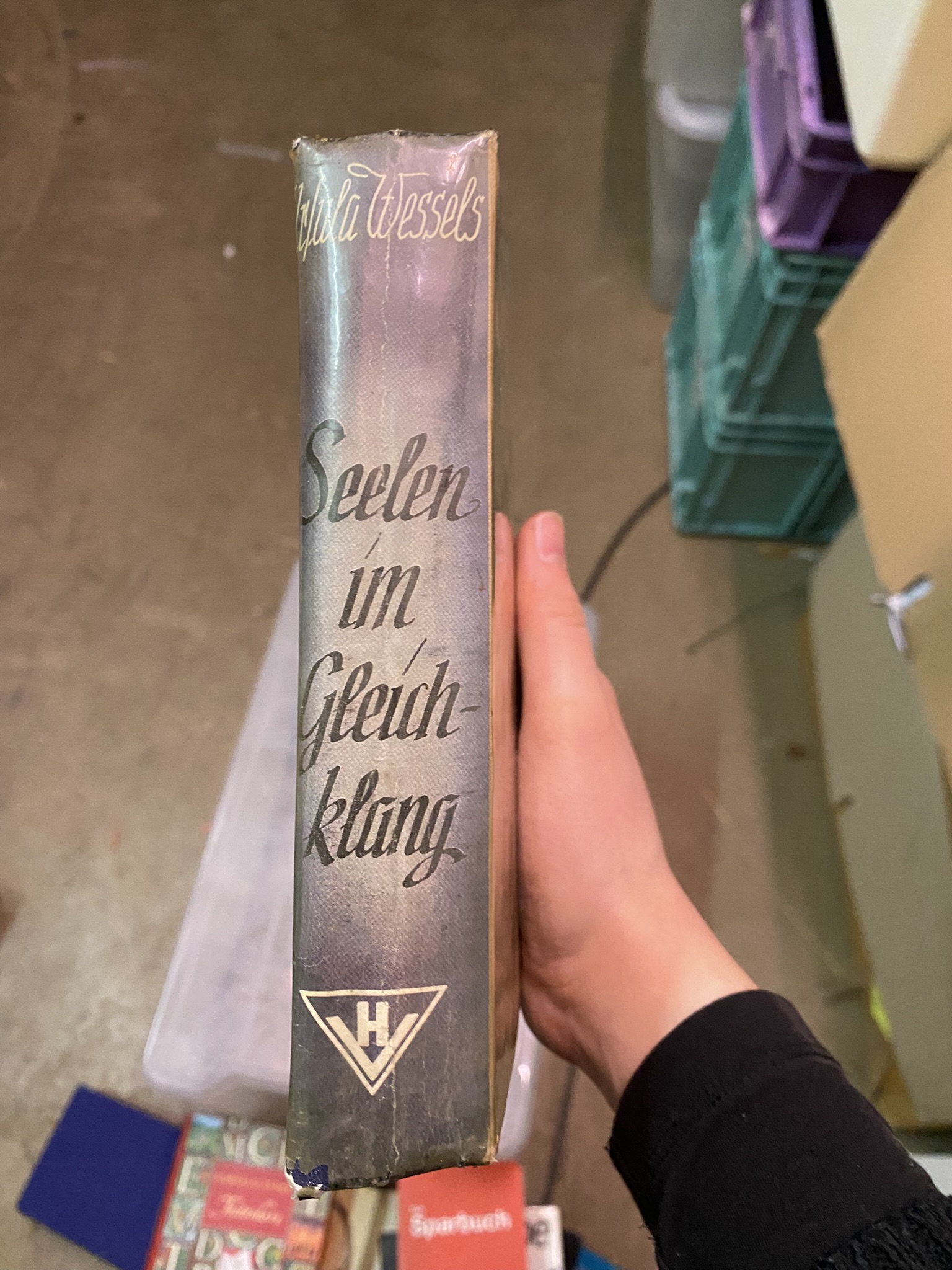 A20-006 Buch "Seelen im Gleichklang"