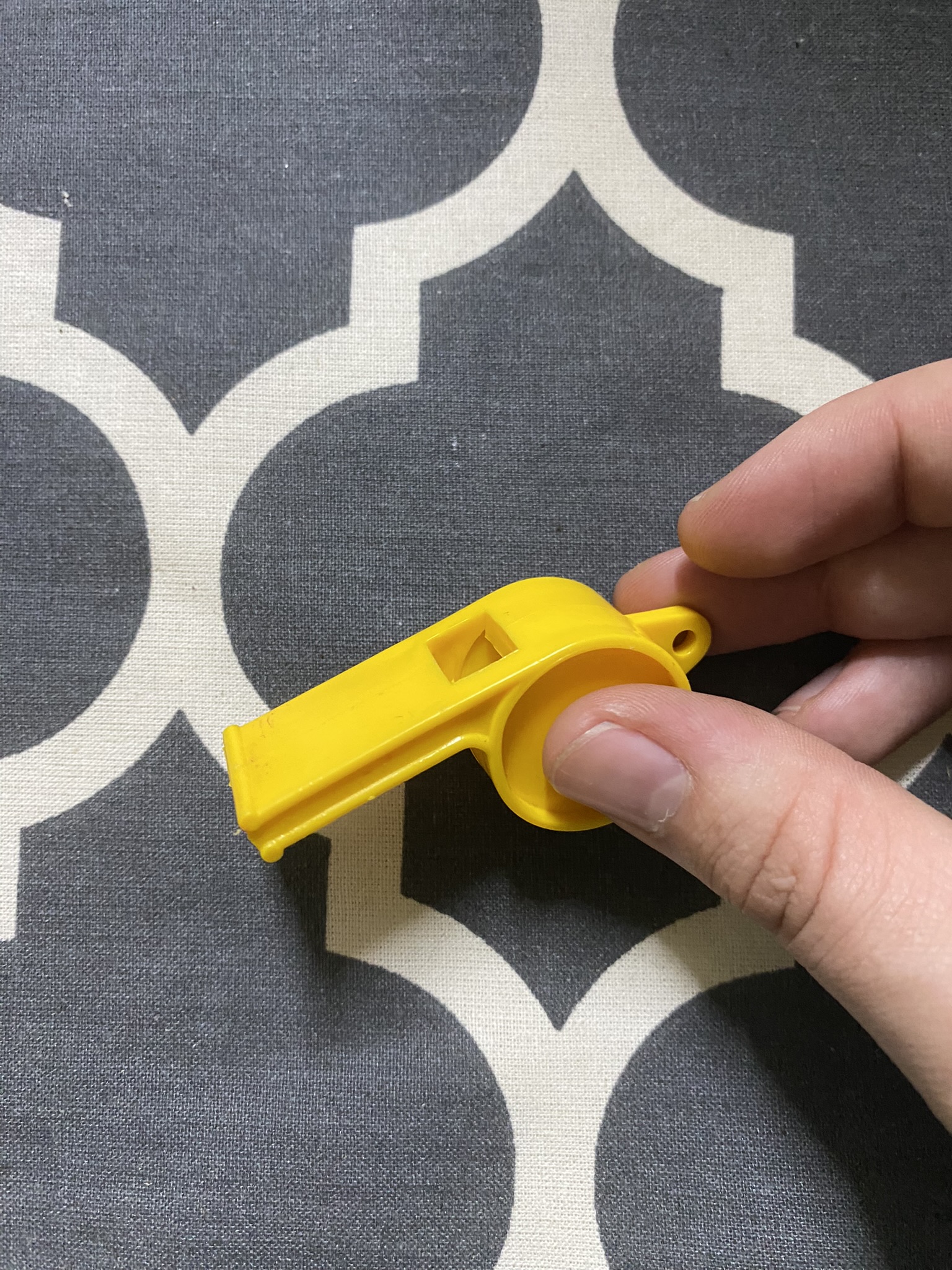 M01-069 Trillerpfeife