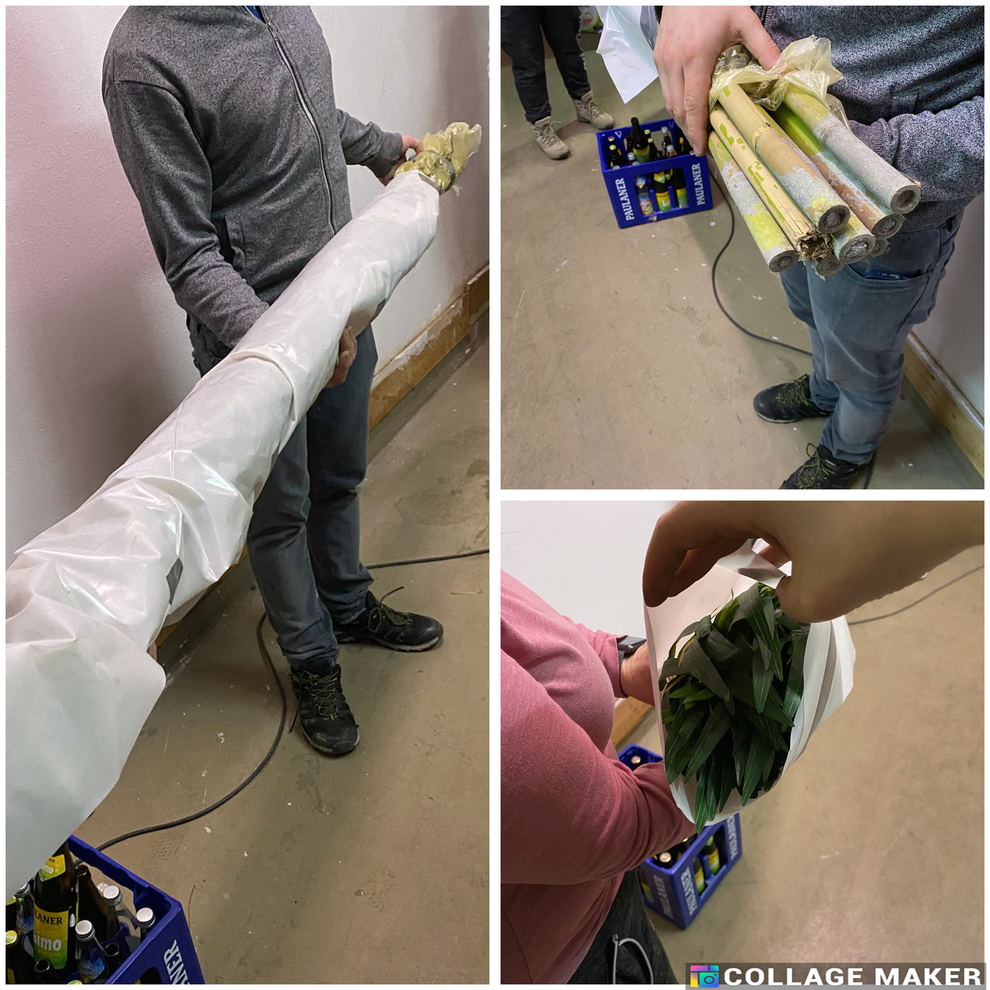 Verschiedene Pflanzen zur Deko