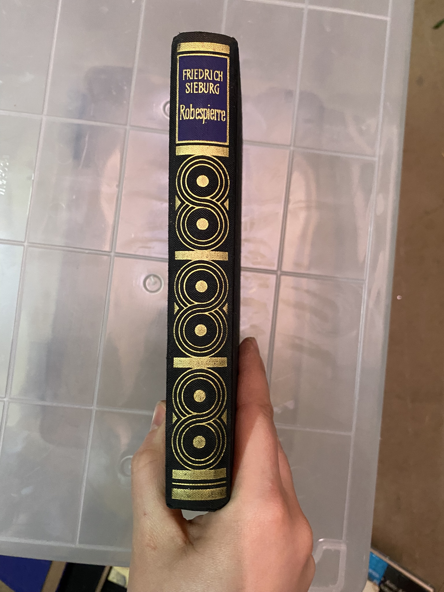 A20-017 Buch "Robespierre"