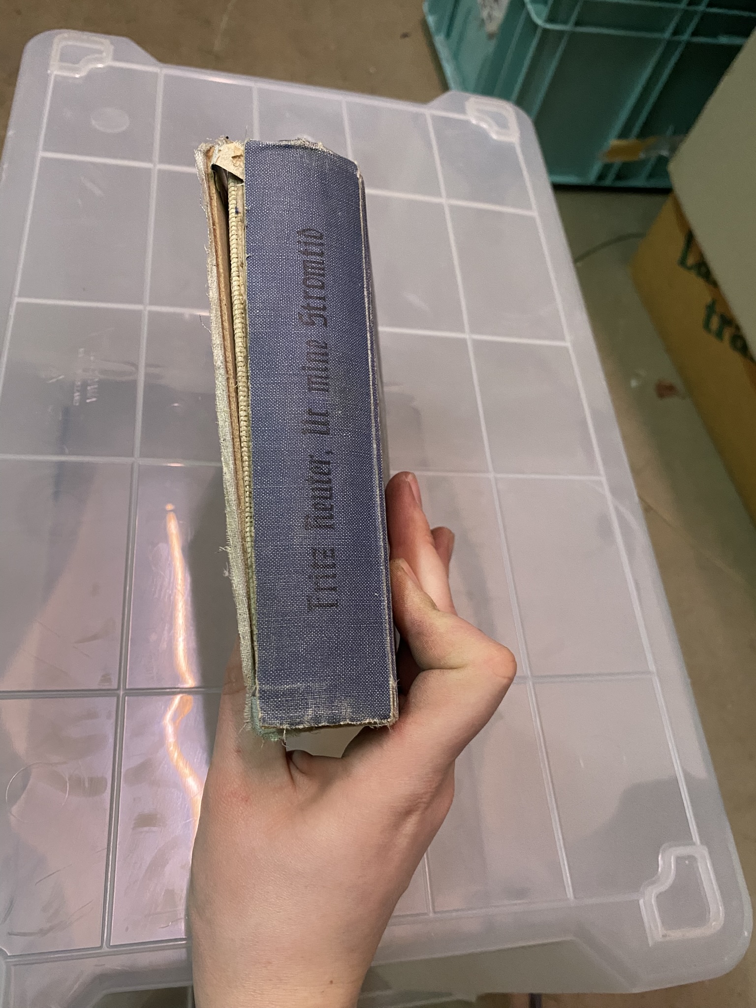 A20-016 Buch "Ut mine Stromtid"