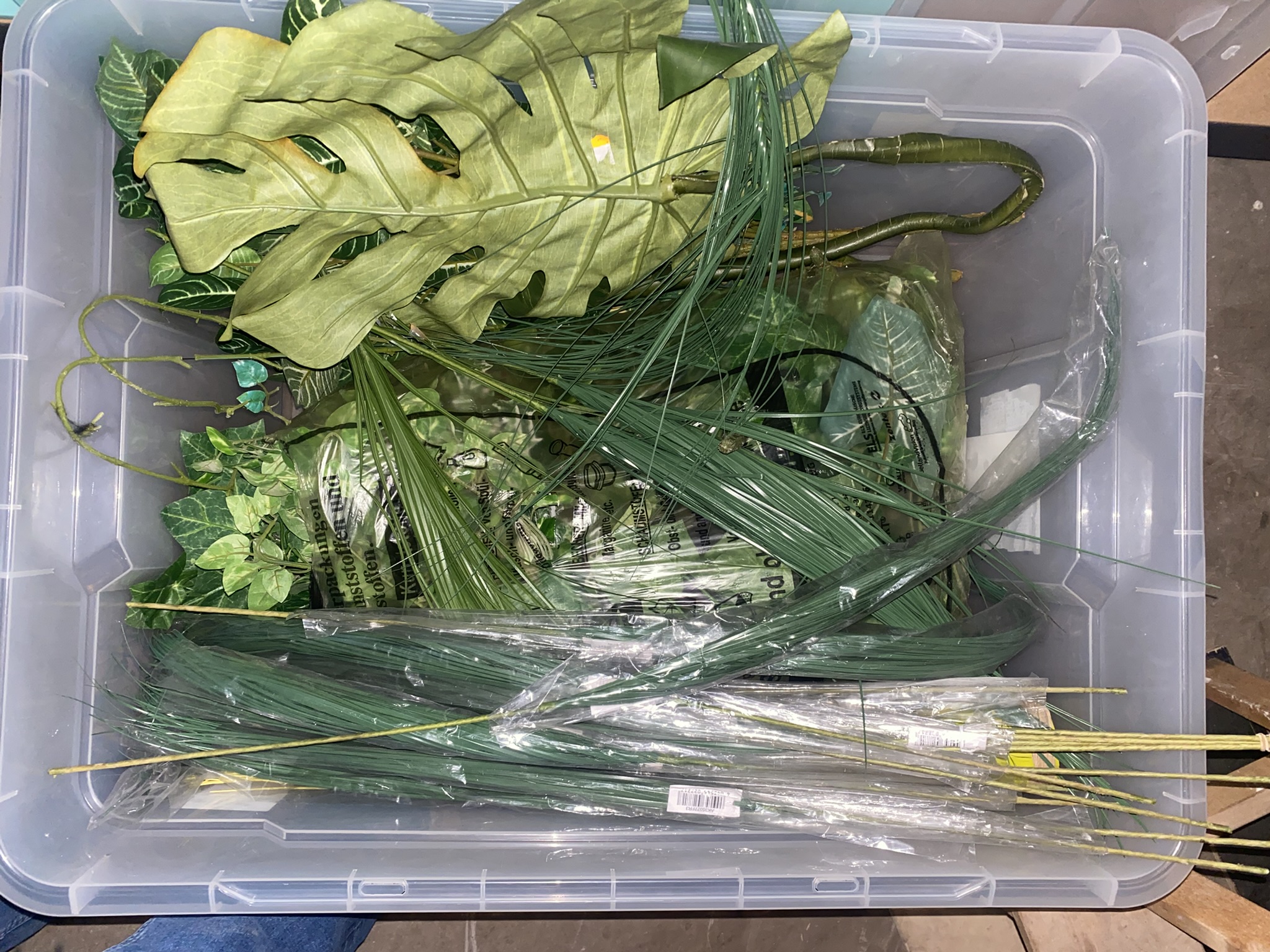 Verschiedene Pflanzen zur Deko