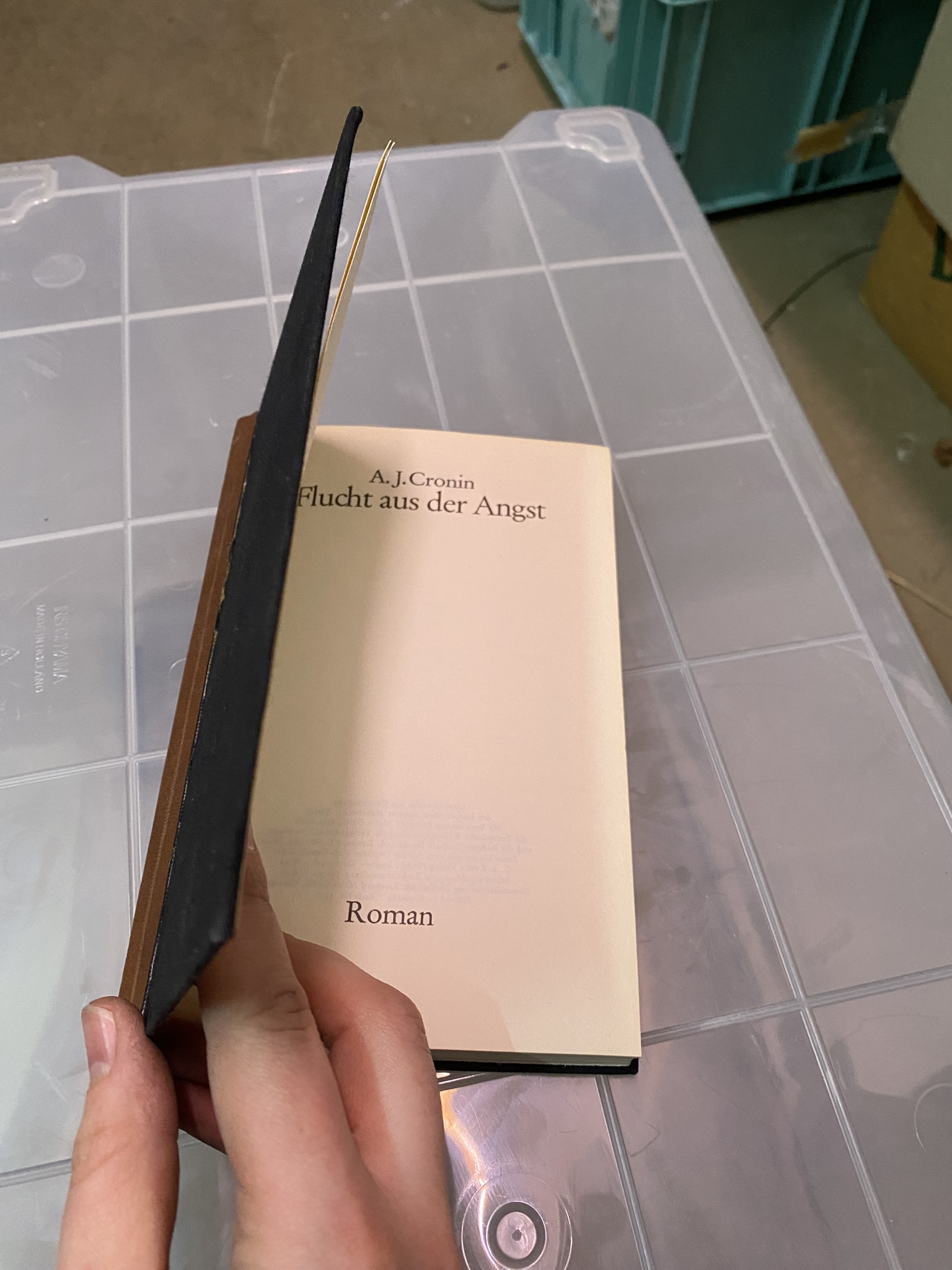 A20-034 Buch "Flucht aus der Angst"