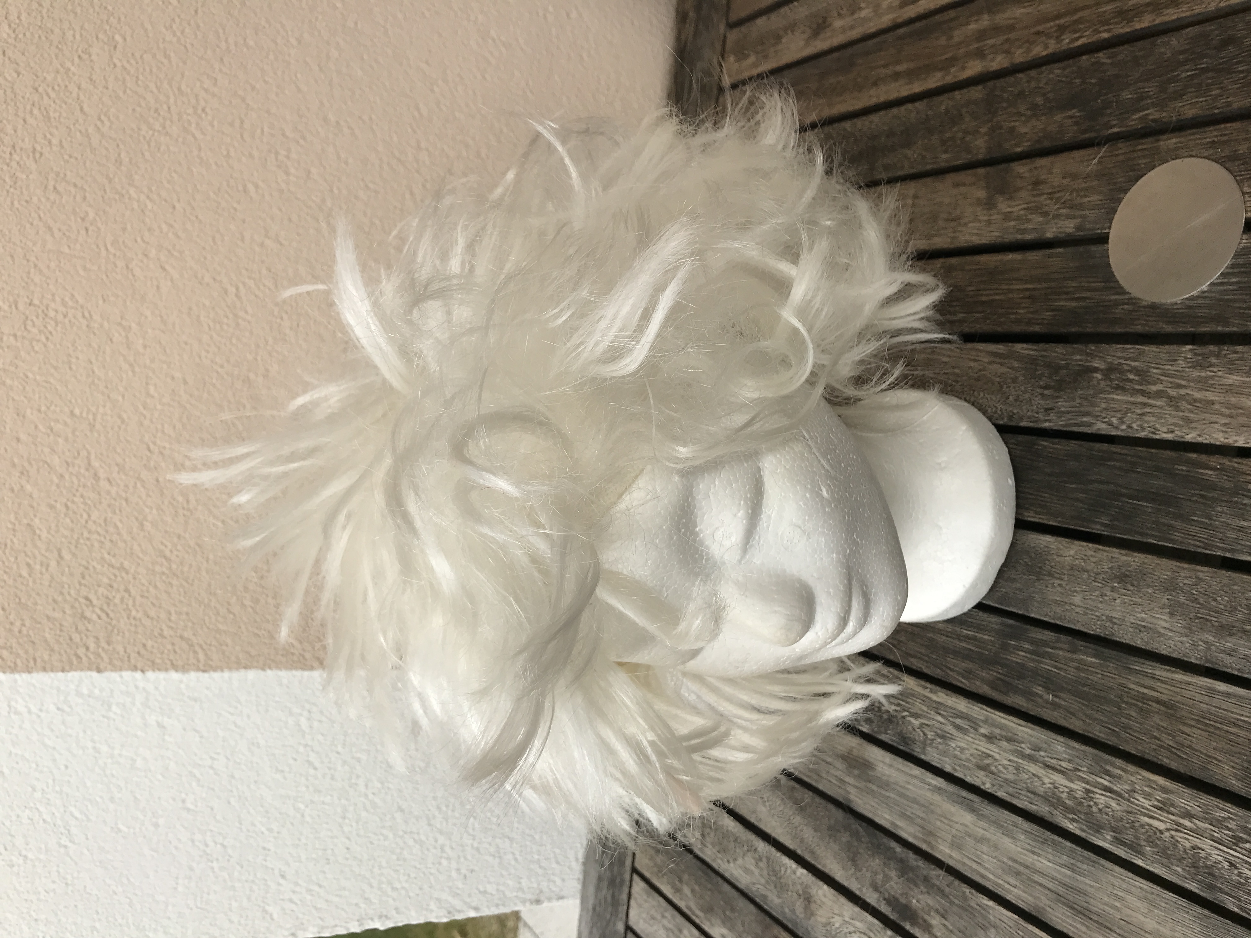 P37 Perücke verrückter Professor