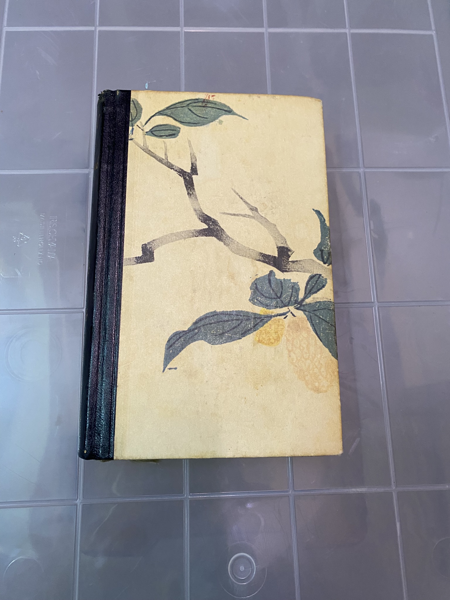 A20-015 Buch "Die gute Erde"