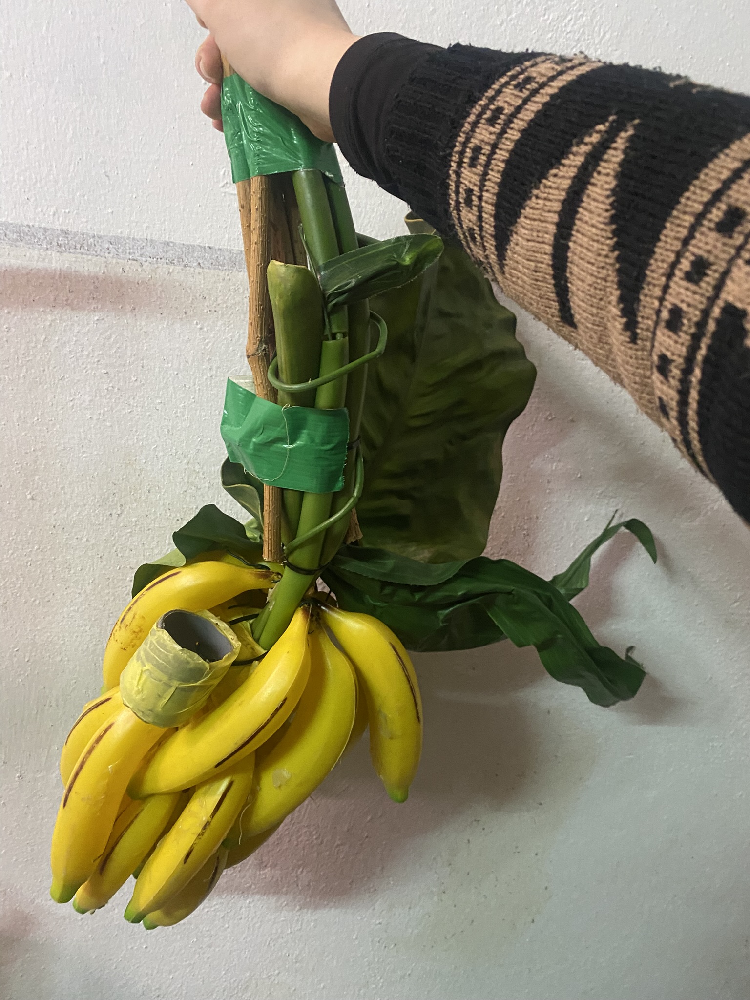 Verschiedene Pflanzen zur Deko