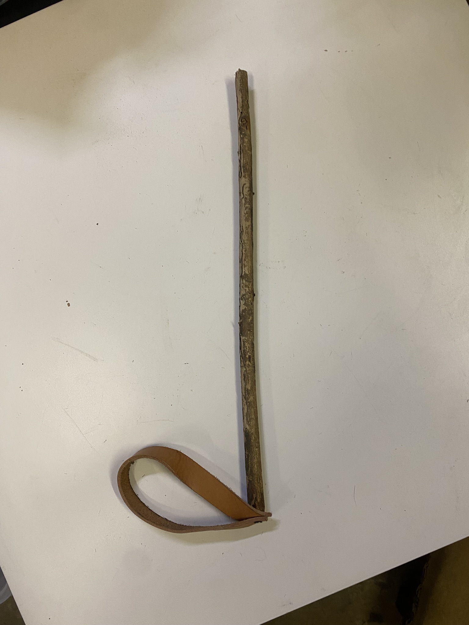 A24-008 Ochsenziemer