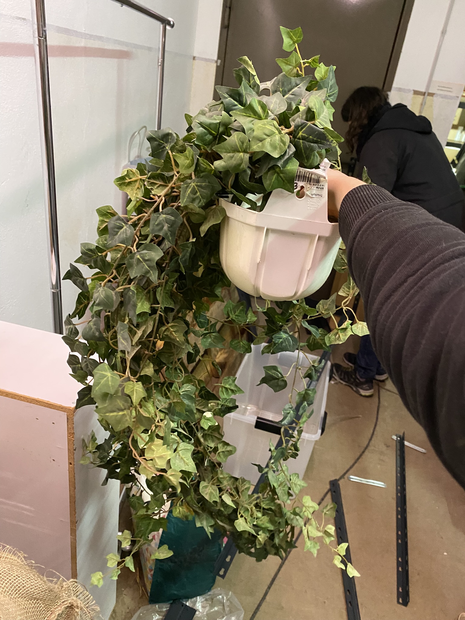 A22-003 Efeu als Topfpflanze