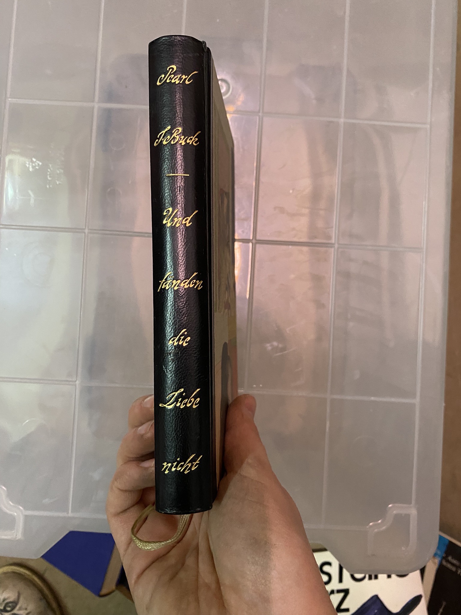 A20-010 Buch "Und fänden sie die Liebe nicht"