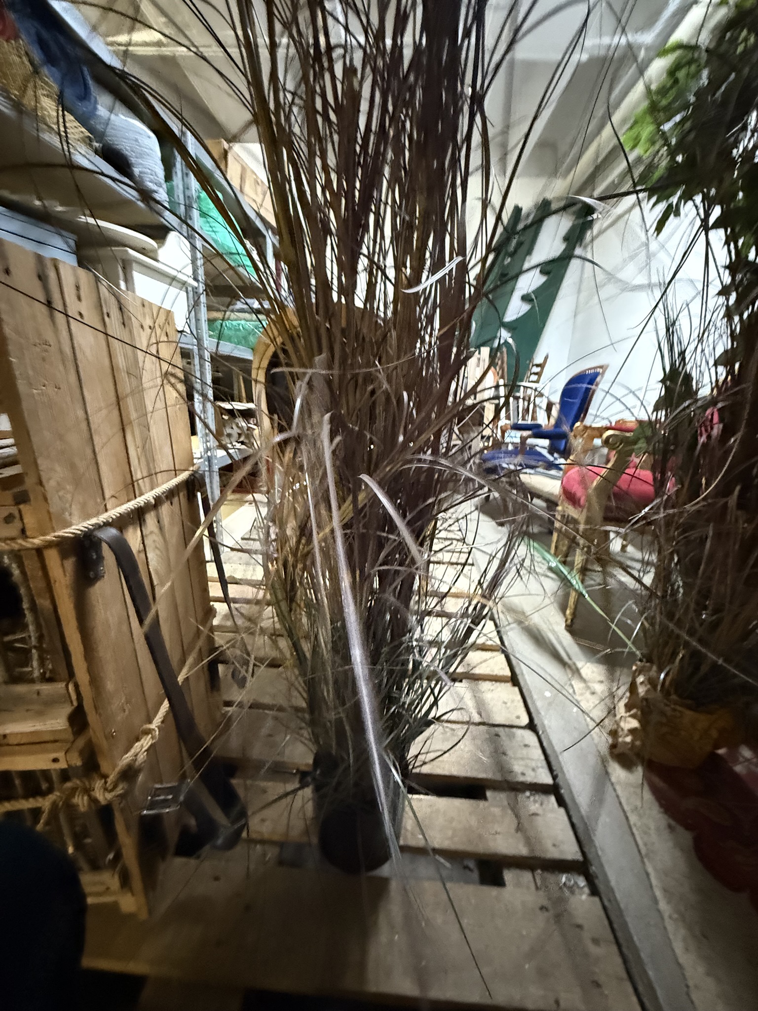 Verschiedene große Büsche und Bäume