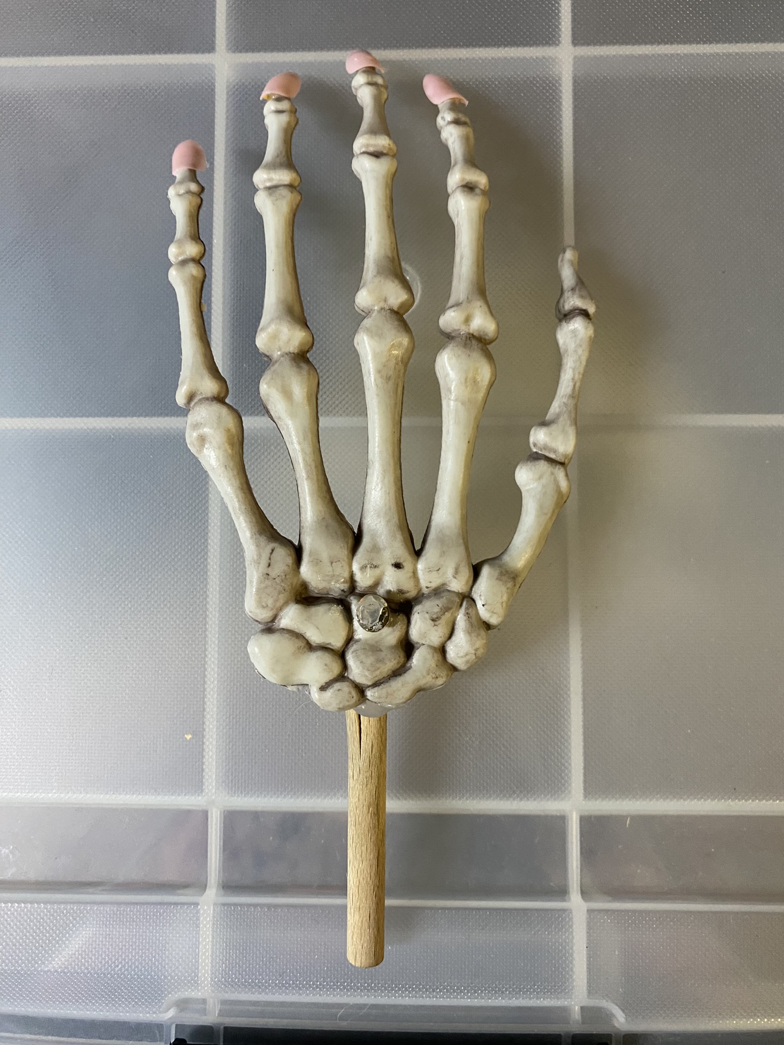 M01-058 Knochen-Hand