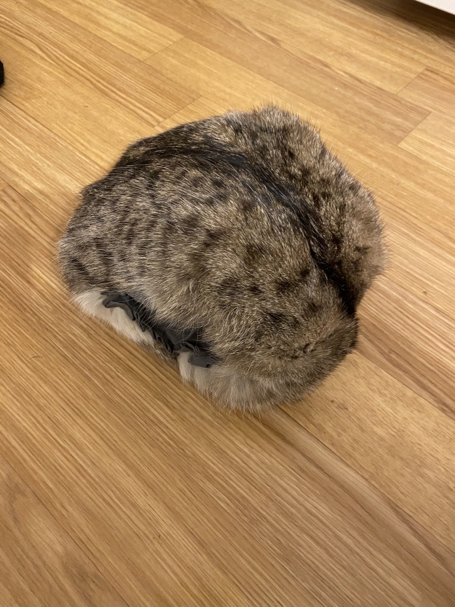 HD38 Muff (Handwärmer)