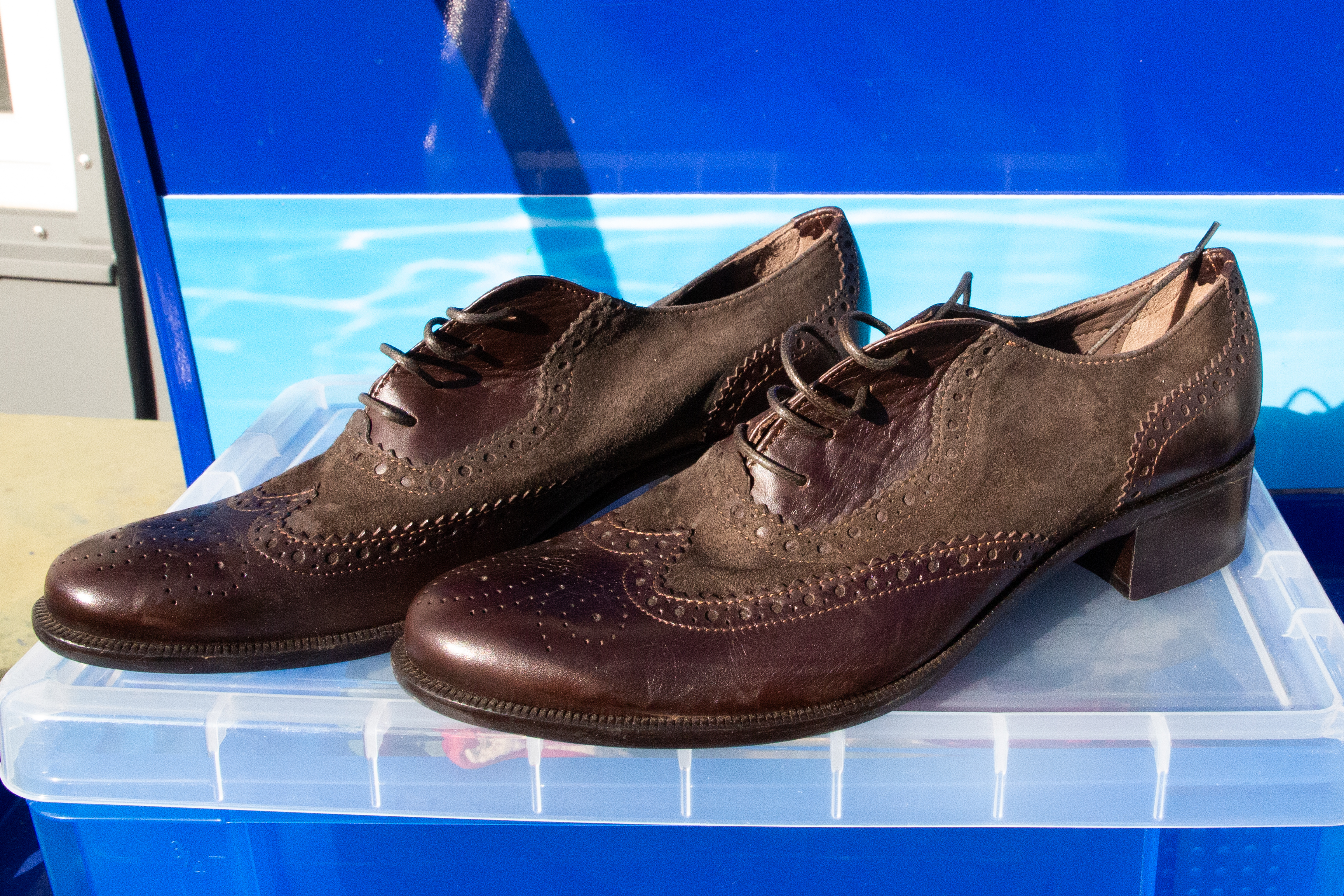 DSC20 Oxford Brogues Damen