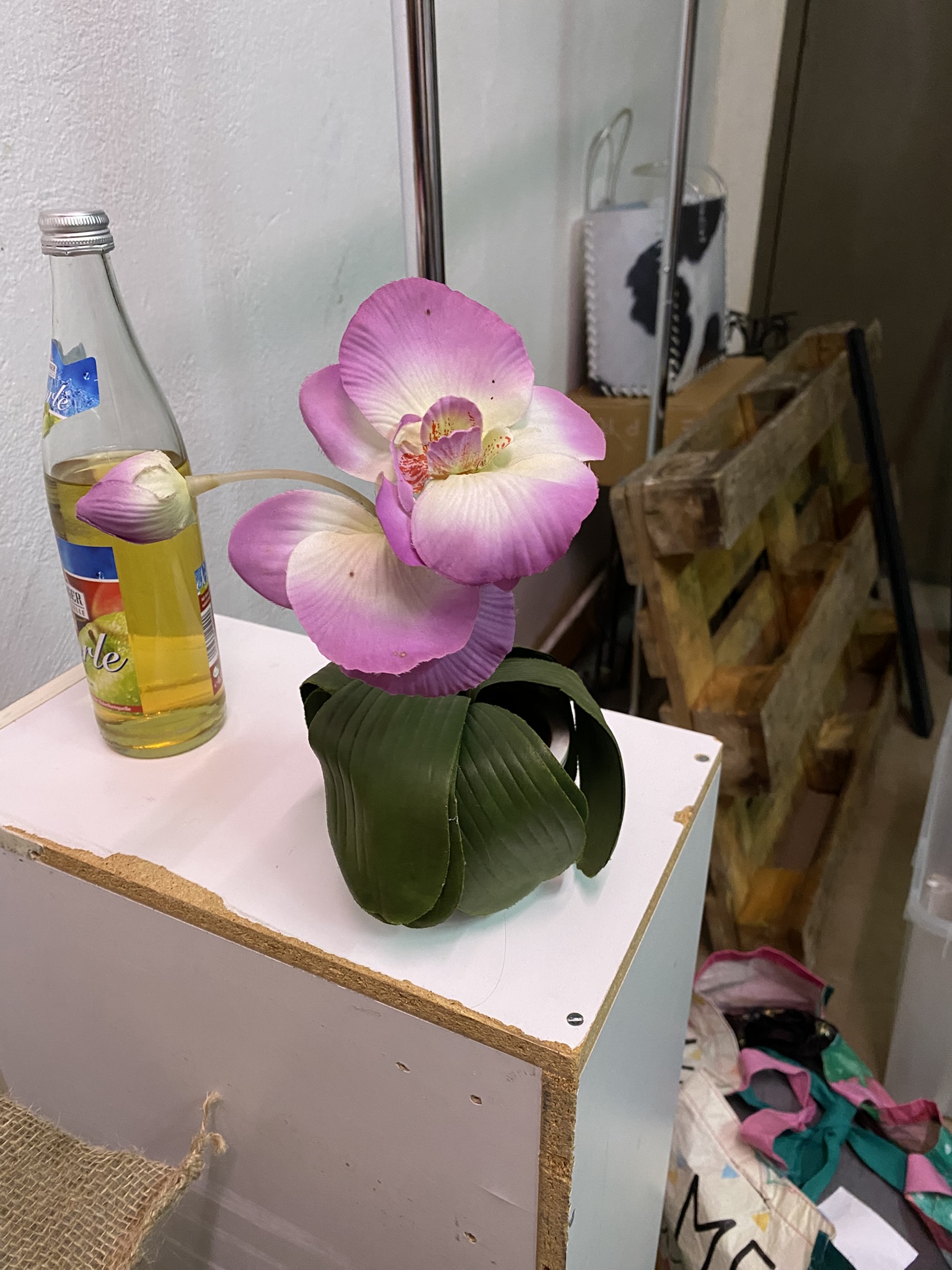 A22-002 Topfpflanze Orchidee