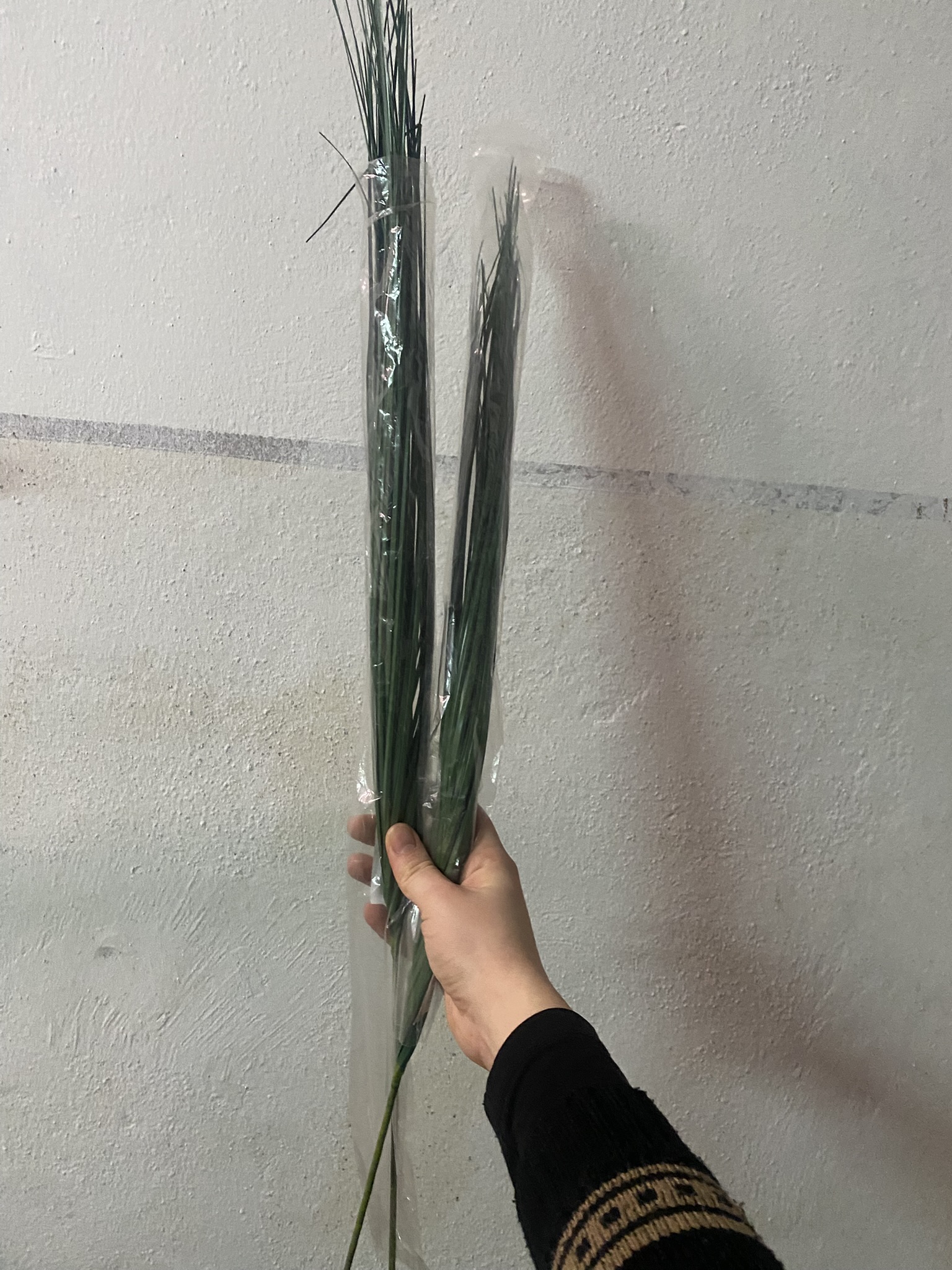 Verschiedene Pflanzen zur Deko