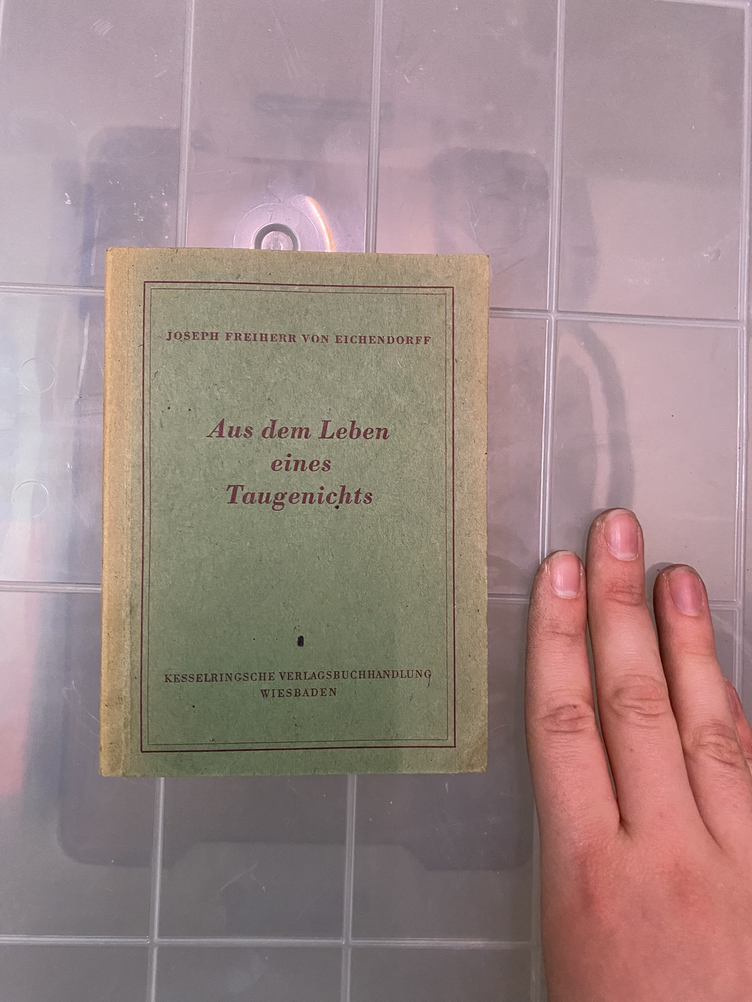 A20-007 Buch "Aus dem Leben eines Taugenichts"