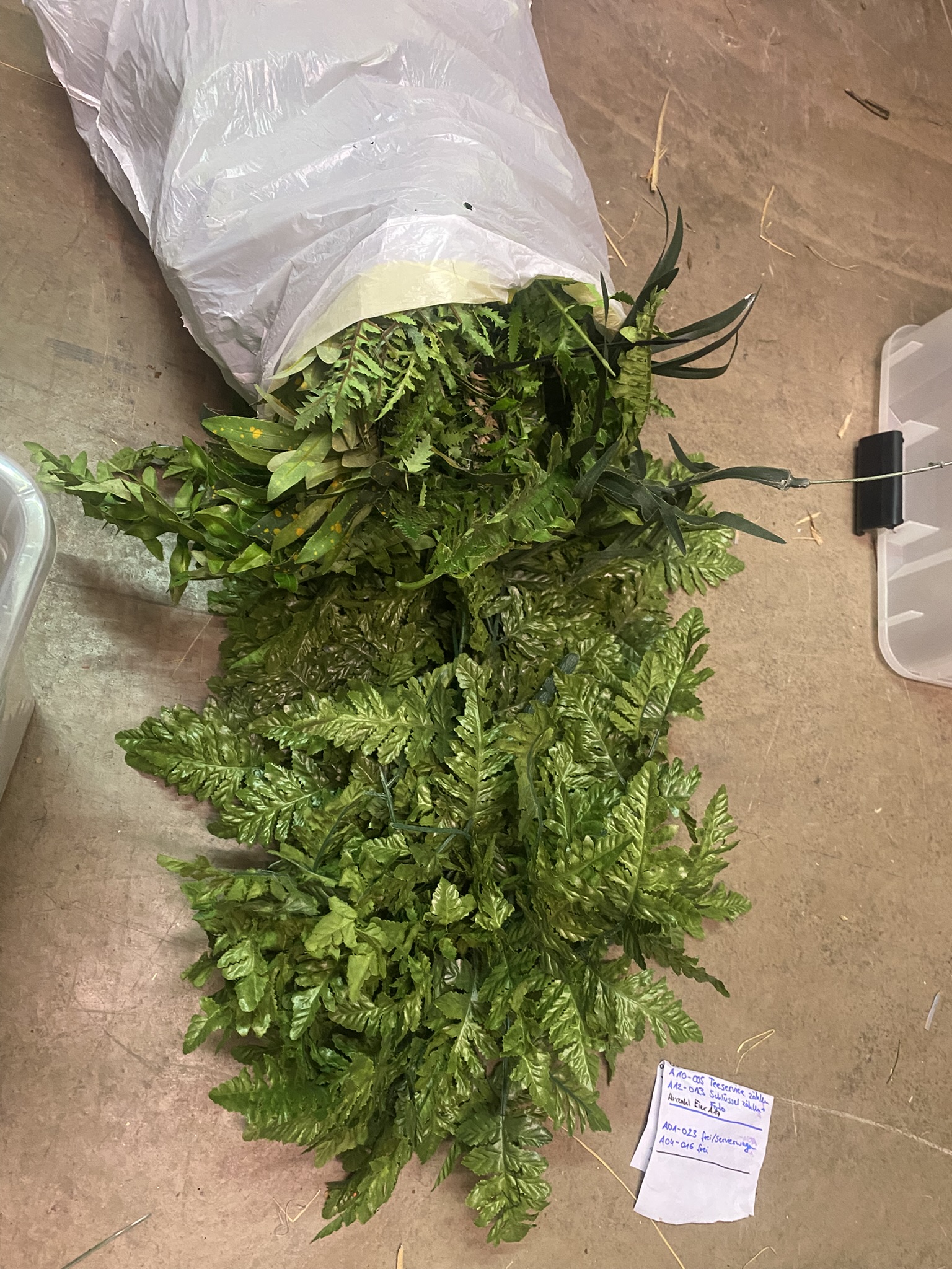 Verschiedene Pflanzen zur Deko