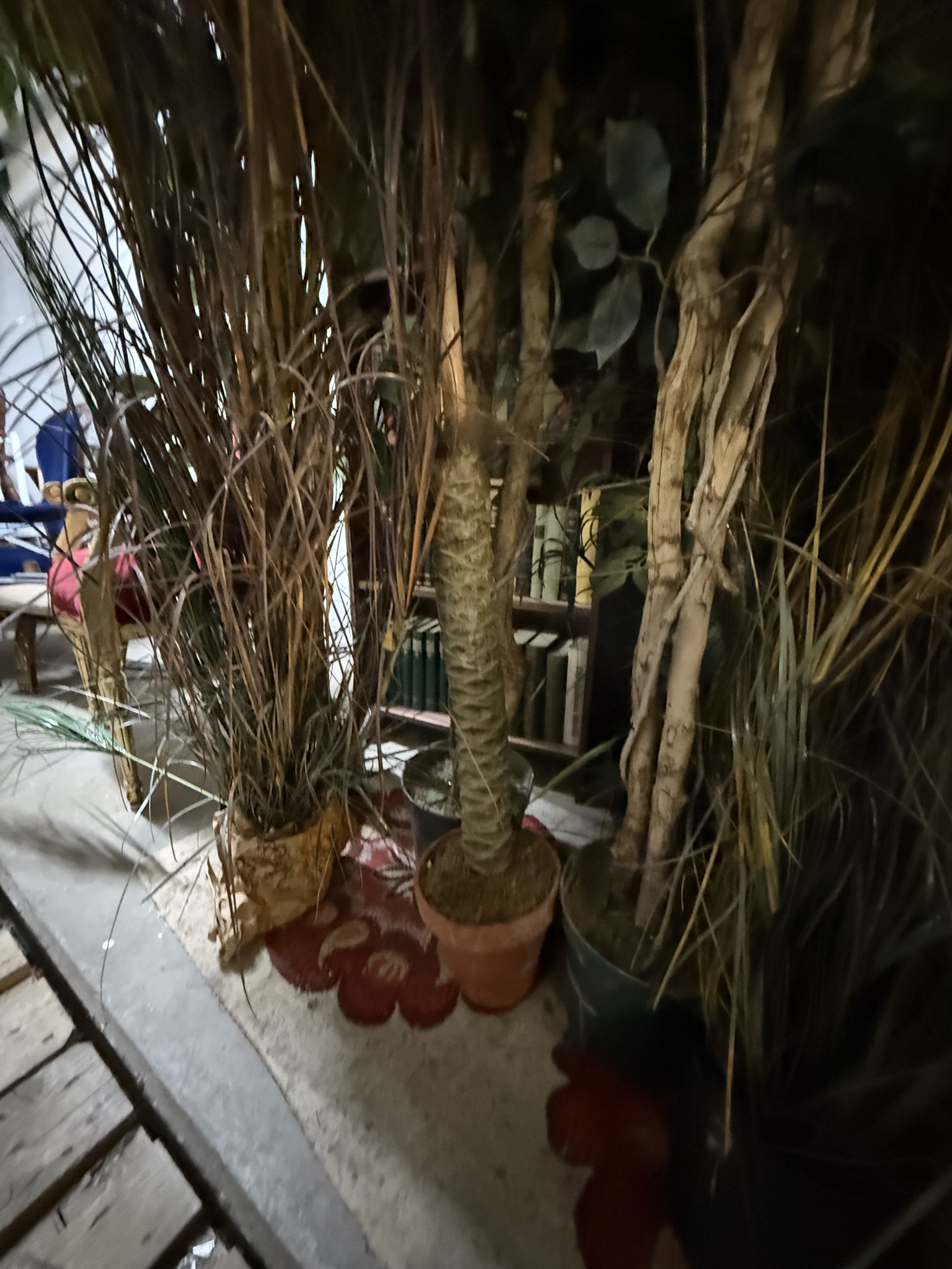 Verschiedene große Büsche und Bäume