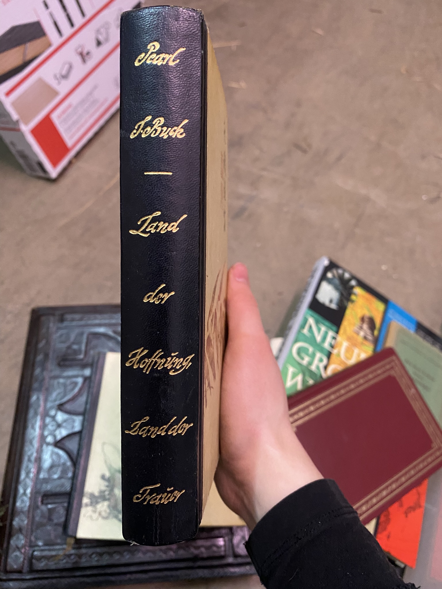 A20-013 Buch "Land der Hoffnung, Land der Trauer"