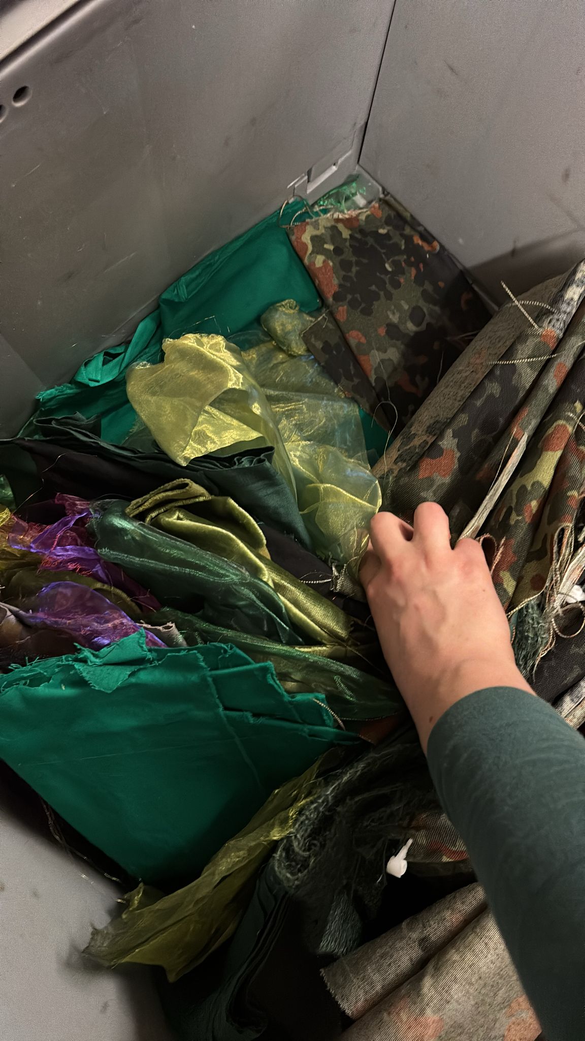 Vorhänge für Wald/Dschungel