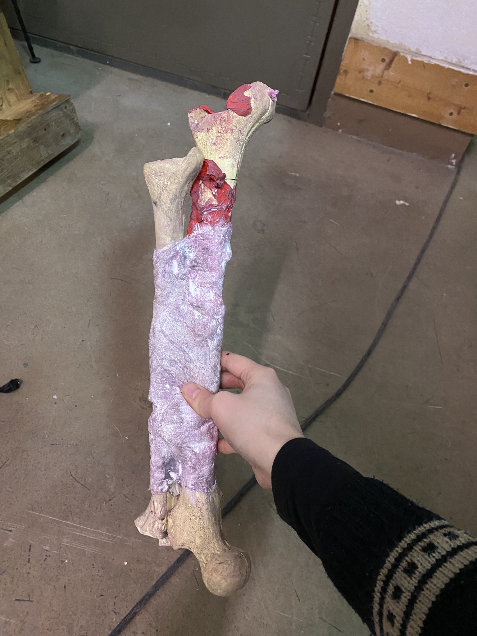 M01-076 Knochen mit Fetzen