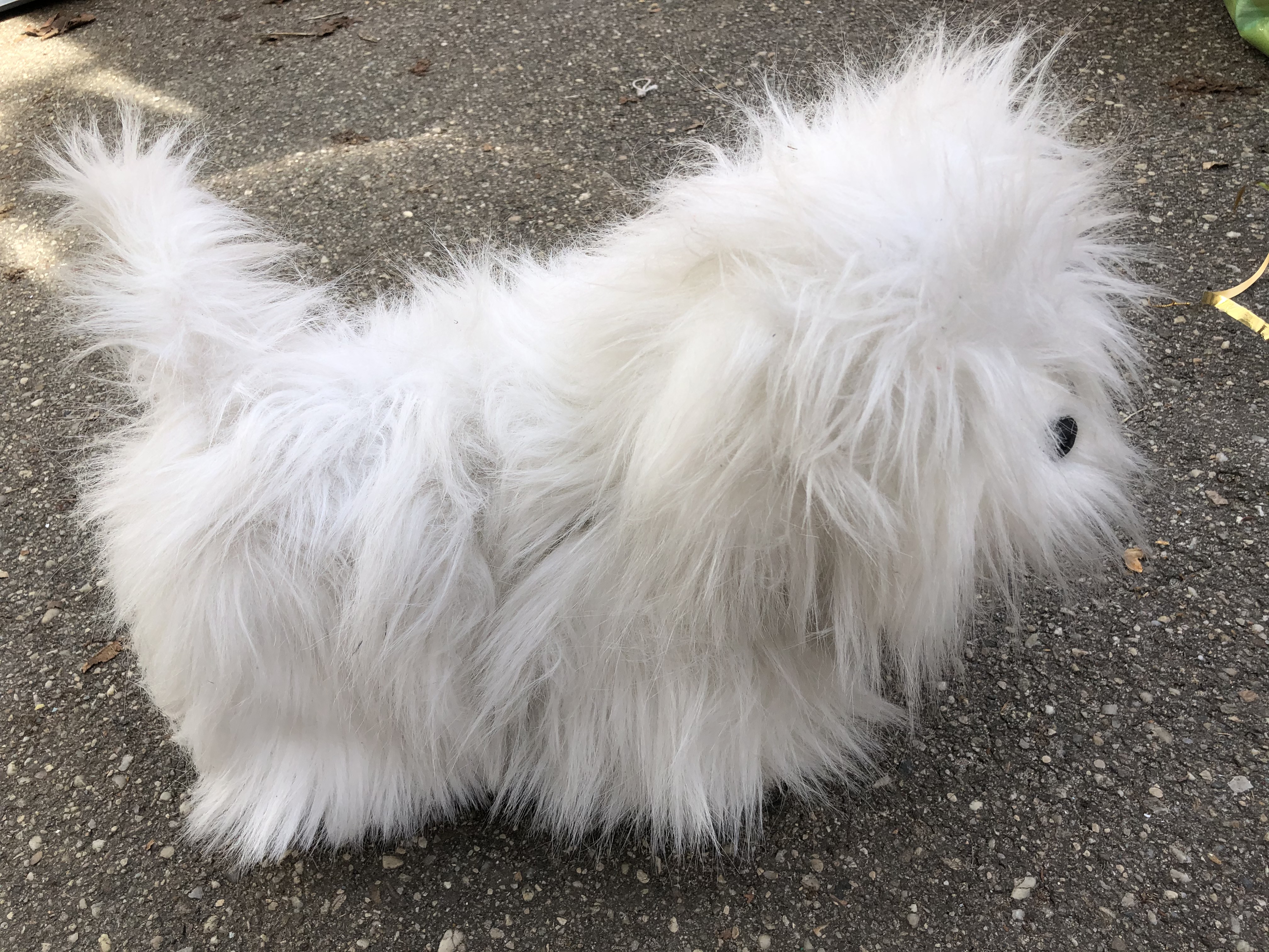 M01-050 Hund 