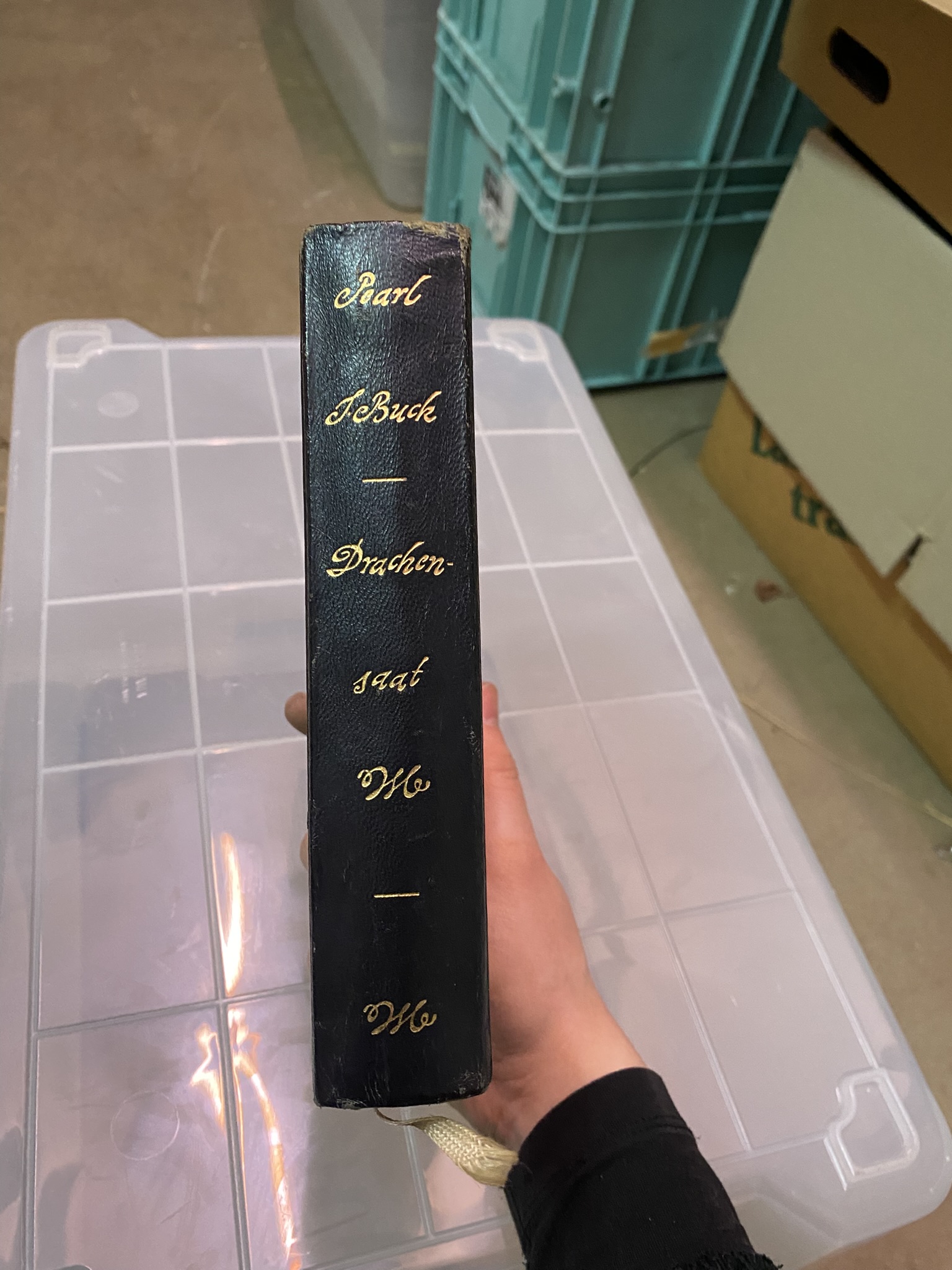 A20-014 Buch "Drachensaat"