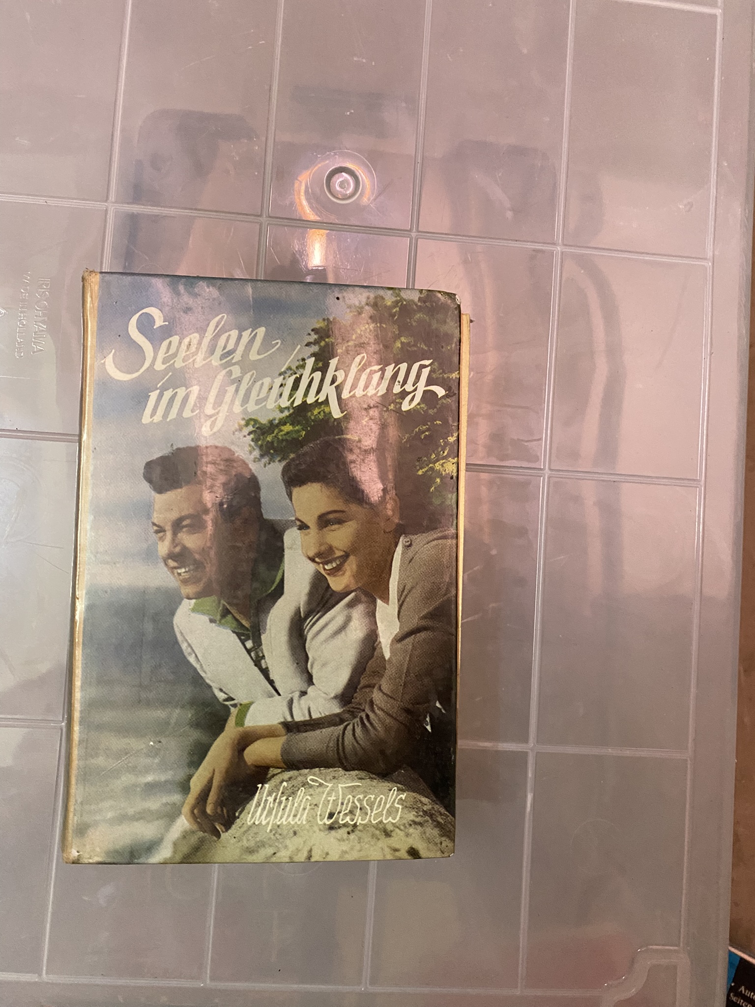 A20-006 Buch "Seelen im Gleichklang"