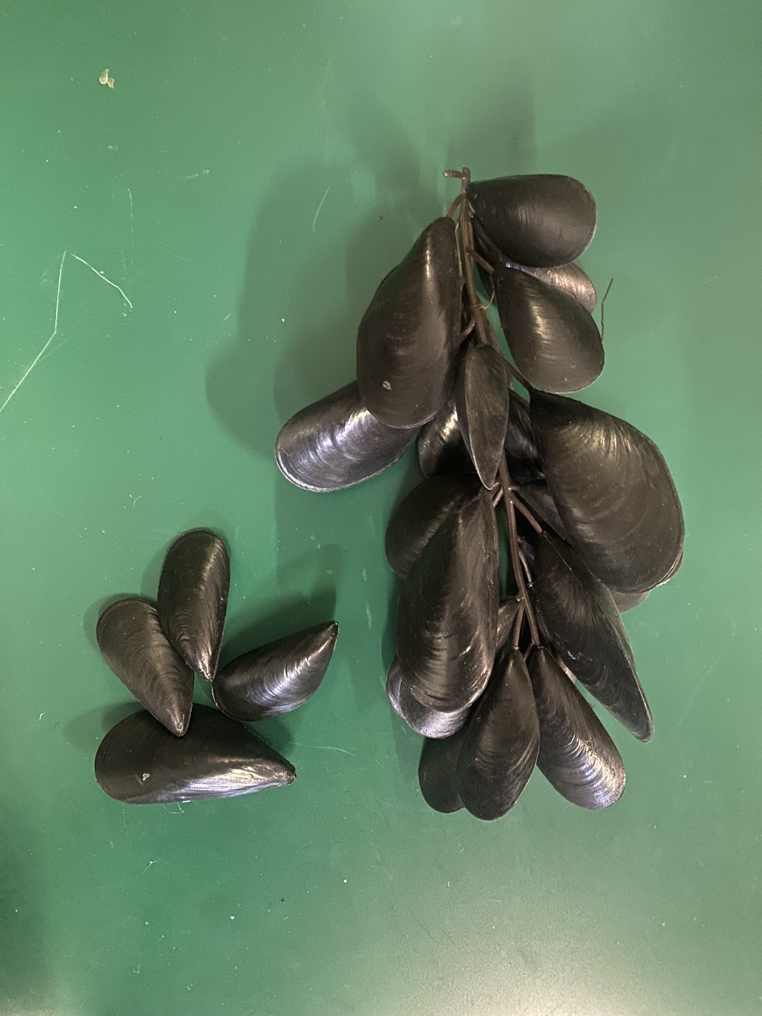 A14-001 Tierische Lebensmittel (Fleisch, Fisch, Käse, Eier)