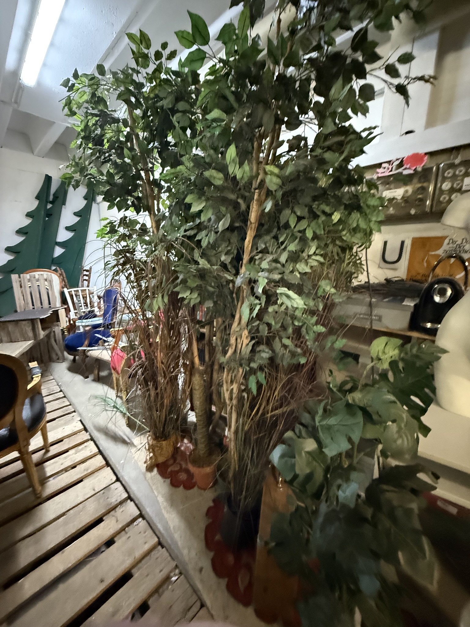 Verschiedene große Büsche und Bäume